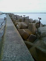 �Ѿ��� ������ ������ 2007