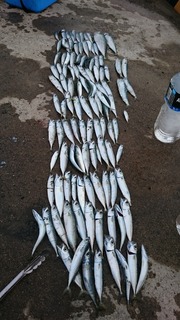 2019/8/27 ��Ϸ ������� �̳�ƻ