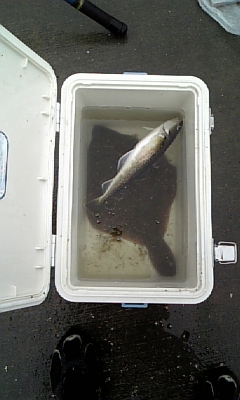 苫小牧中央南 ジムニーさん 凄い : ダメオヤジ釣り日記かもねー うふふ