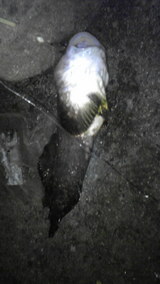 89e7d55c.jpg