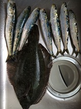 2014/3/22 �н��������������