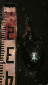 2010 �Ѿ��� ������