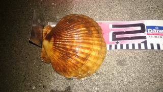 DSC_1158