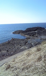 b614b721.jpg