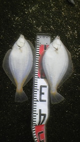 b71f9960.jpg
