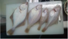 2010/6/25 �������쥤���