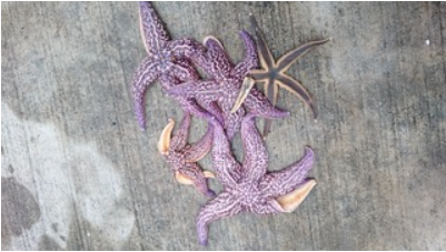 2019/6/21 �ҥȥ�