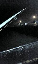 2007/8/6 �ں��ߤ����Ƭ