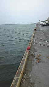 c1a0223b.jpg
