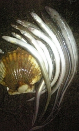 c6572ac6.jpg