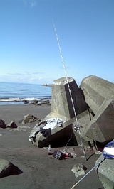 d338e976.jpg