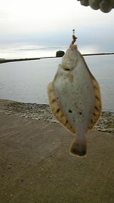 d3933e3a.jpg