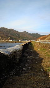 e6d029a7.jpg