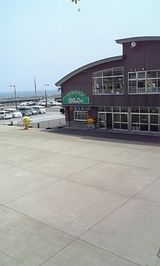 e8703b79.jpg