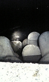 ef892d10.jpg