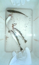 f97c48c6.jpg