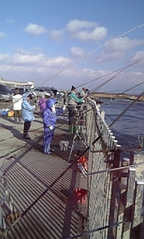 2008 �Ѿ�������ե��������������