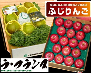 セット
