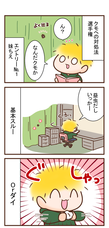 クモへの対処法選手権 ちえちゃんの失敗日記 クモへの対処法選手権 ちえちゃんの失敗日記