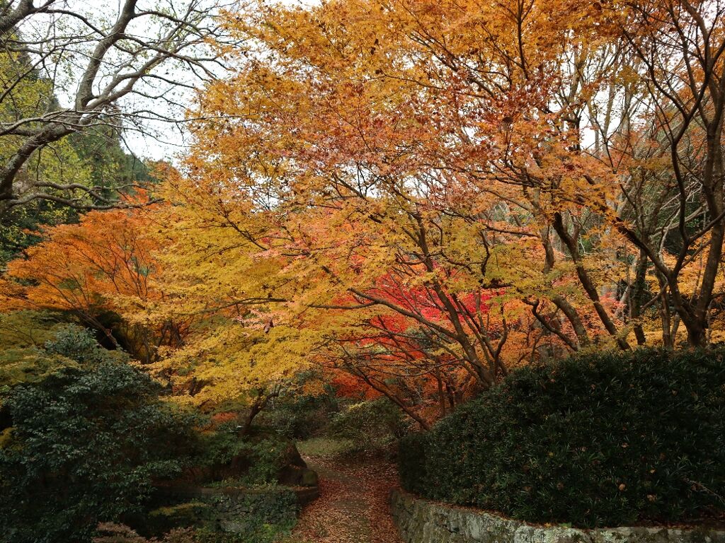 星の岩屋の紅葉 前編 しゃがみ中パンチ