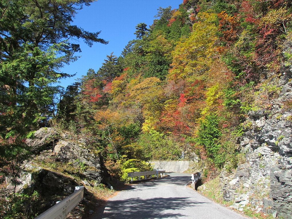 瓶ヶ森紅葉サイクリング15 しゃがみ中パンチ 瓶ヶ森紅葉サイクリング15 しゃがみ中パンチ