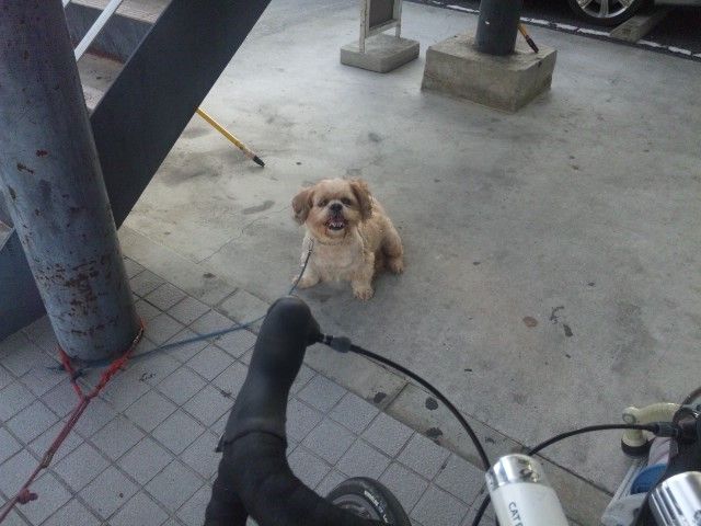 我が心すでに空なり しゃがみ中パンチ 我が心すでに空なり しゃがみ中パンチ