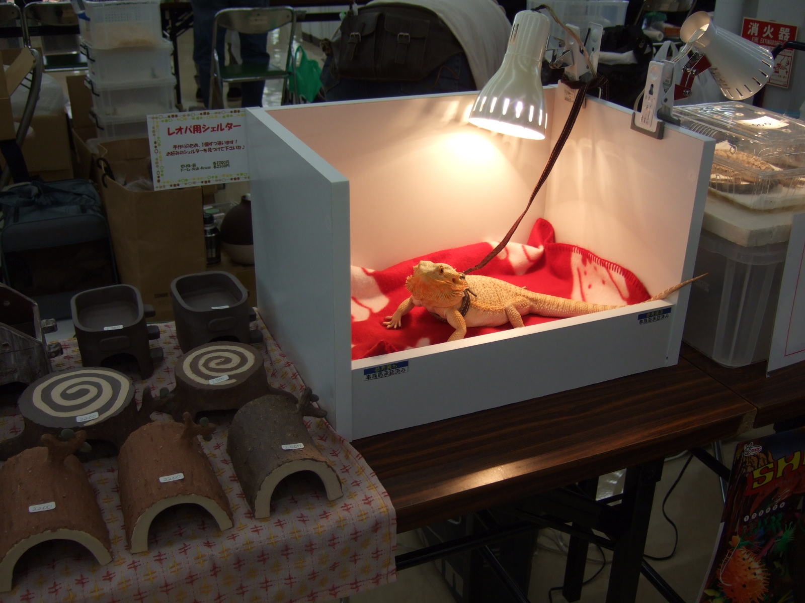 ぶりくら市09 しゃがみ中パンチ