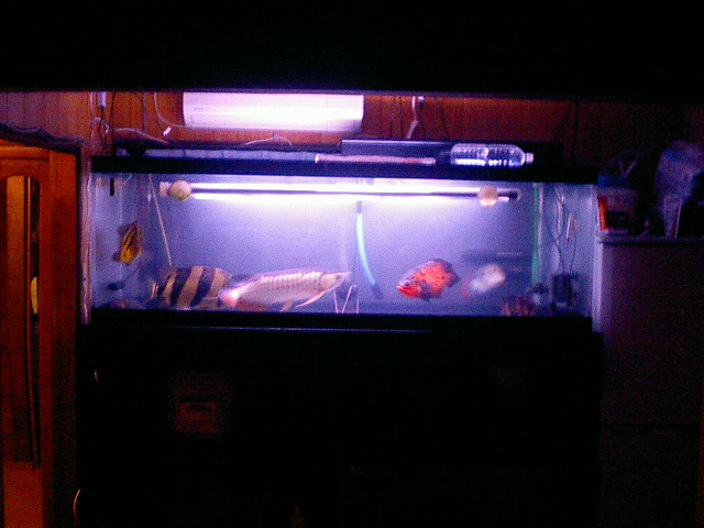 どうしてお腹が減るのかな しゃがみ中パンチ