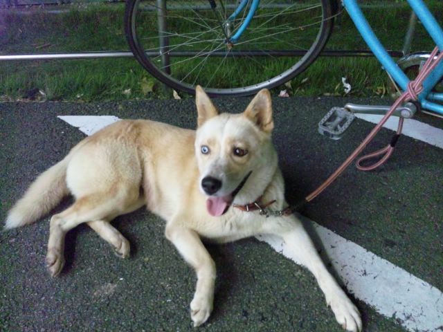 我が心すでに空なり しゃがみ中パンチ 我が心すでに空なり しゃがみ中パンチ