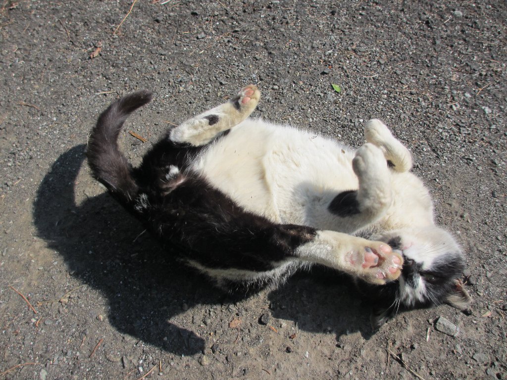 でもまあ 騒ぐほどでもないか しゃがみ中パンチ