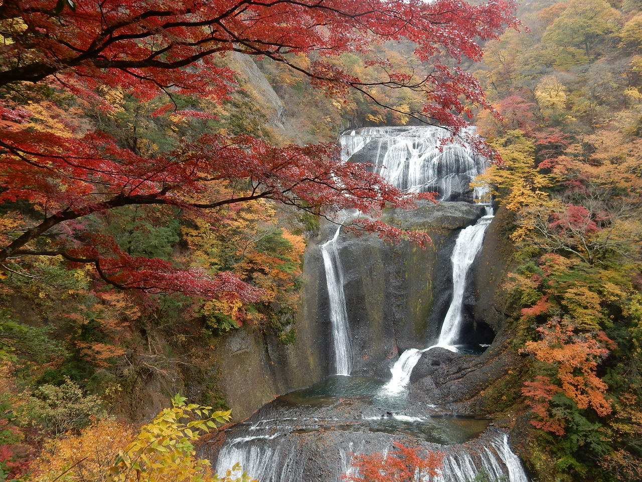 （11／11-12）袋田の滝*月待の滝*永源寺の紅葉状況☆ : 大子町観光協会 STAFF Blog