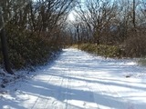 八溝山0104 (1)