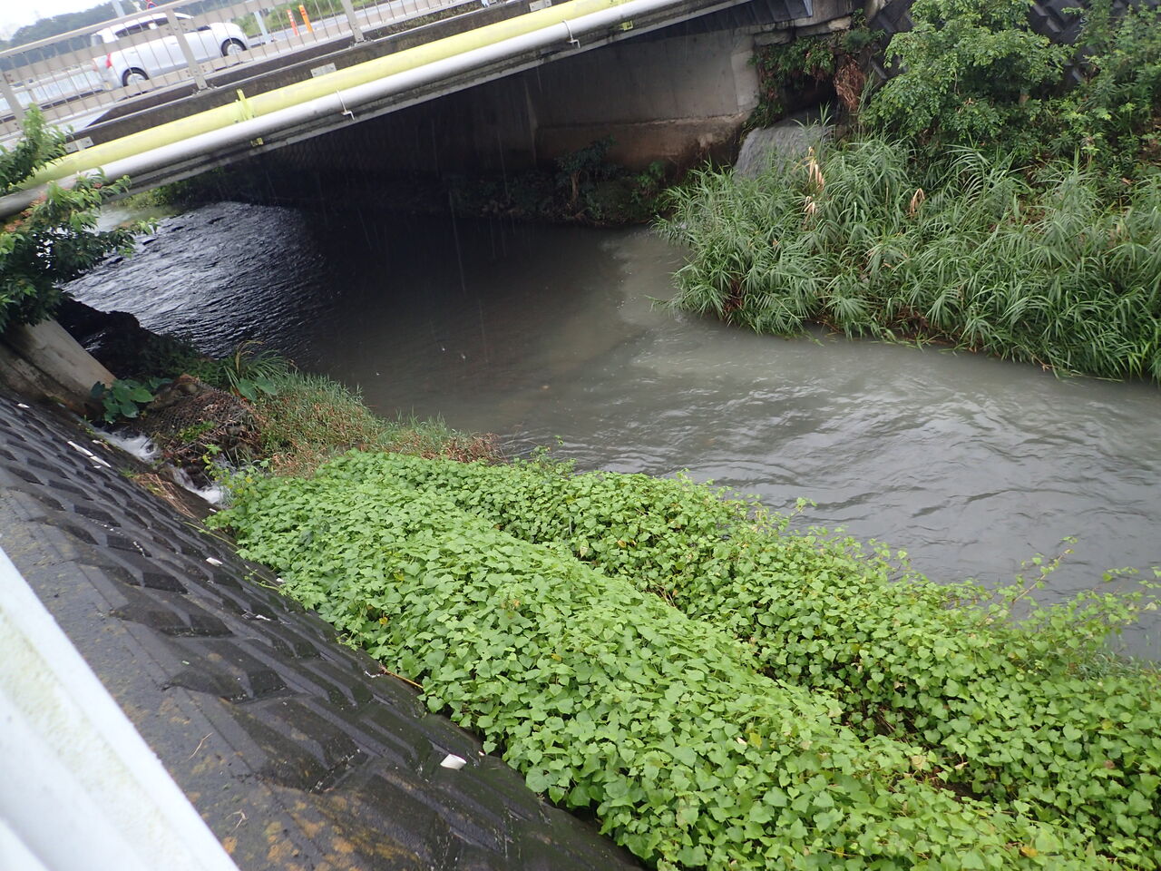 年07月 Nikond1ayuのblog