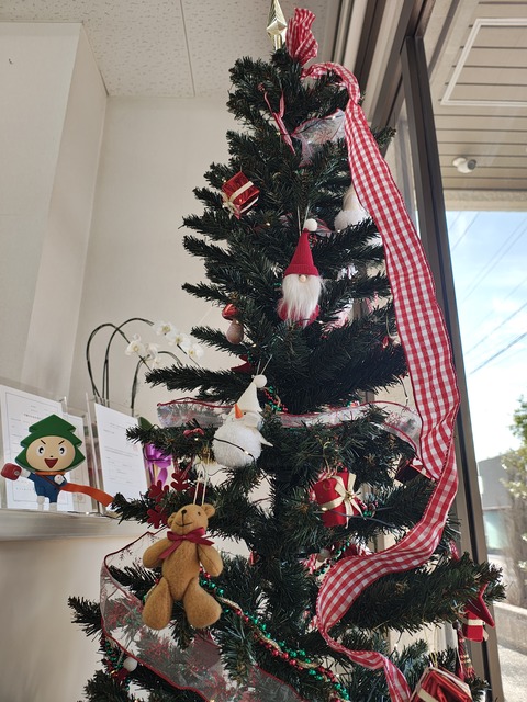 IMG_20251127_141827455_HDR