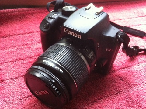 写真 (1)