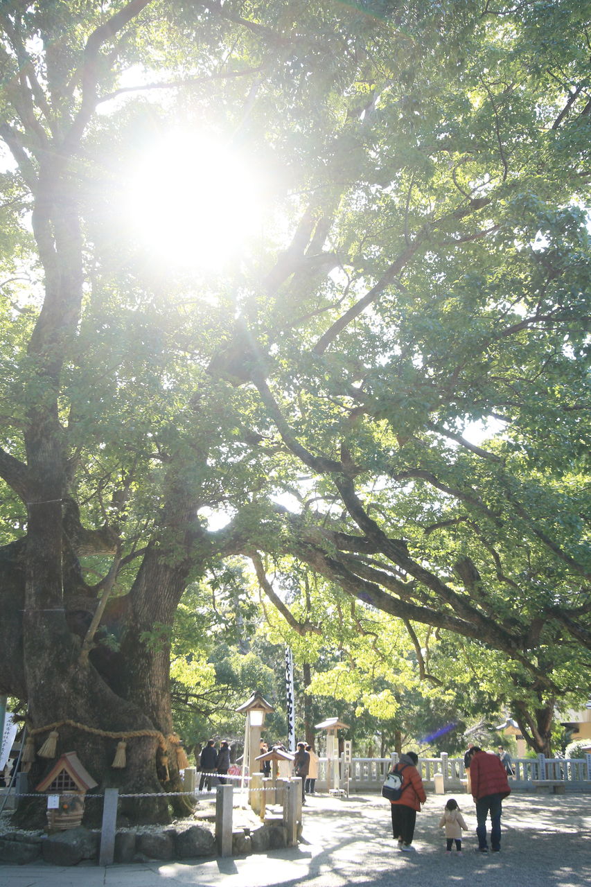 レビュー いい写真 はどうすれば撮れるのか 本読むか 写真撮るか 旅出るか