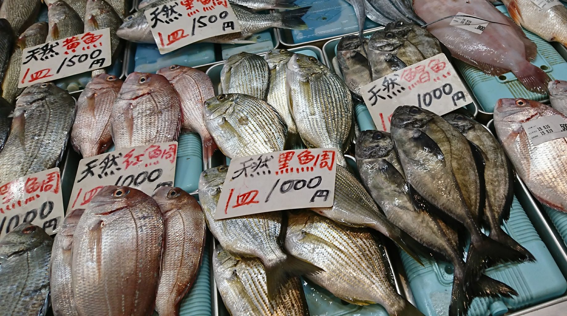 19 9 15 アメ横 地下食品街散策 じじこ日誌