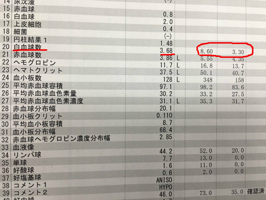 白血球 急回復 Cea続落 新大腸がん闘病記no187 黄金大吉の 金なくて何でこの世が浮世かな