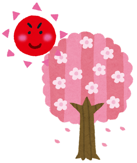 図さくら