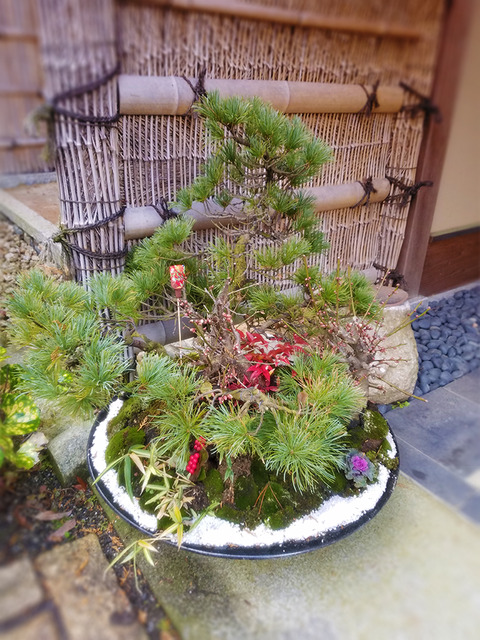 生け花4