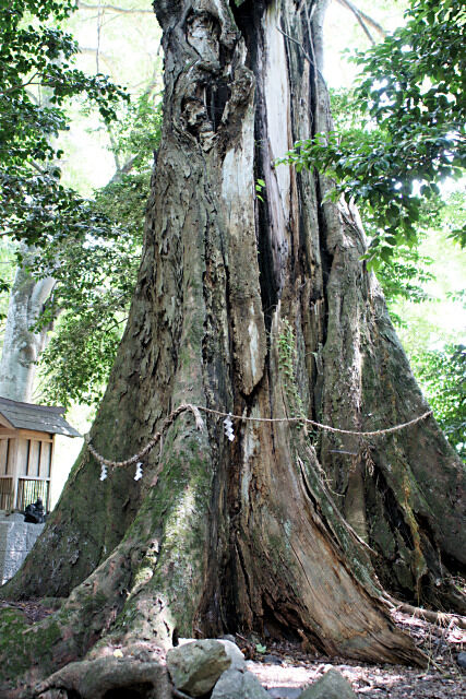 goryo_jinja_muku_04