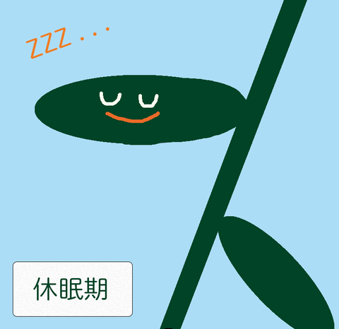 アートボード 1