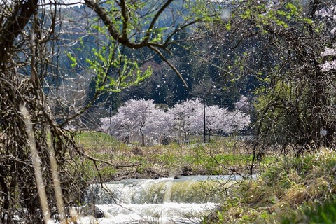 natural-4879343_960_720