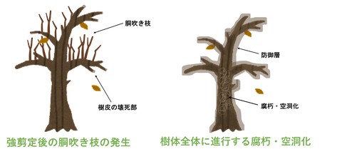 画像２