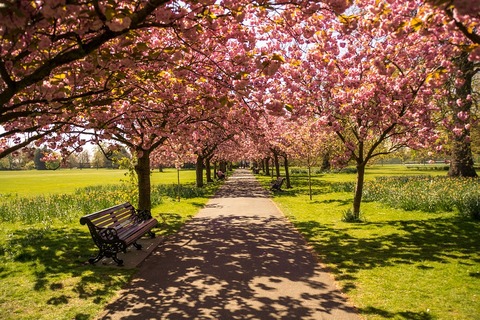 park-737228_960_720