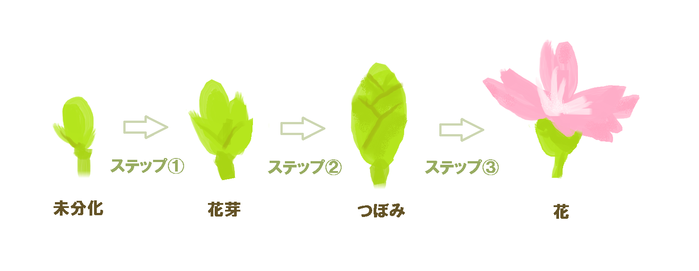 3つのステップ