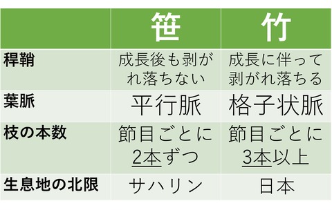 まとめの表