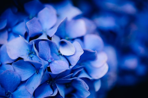 photo-1530620573765-259b1fc0f476