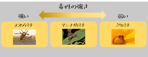 ハチ 毒性