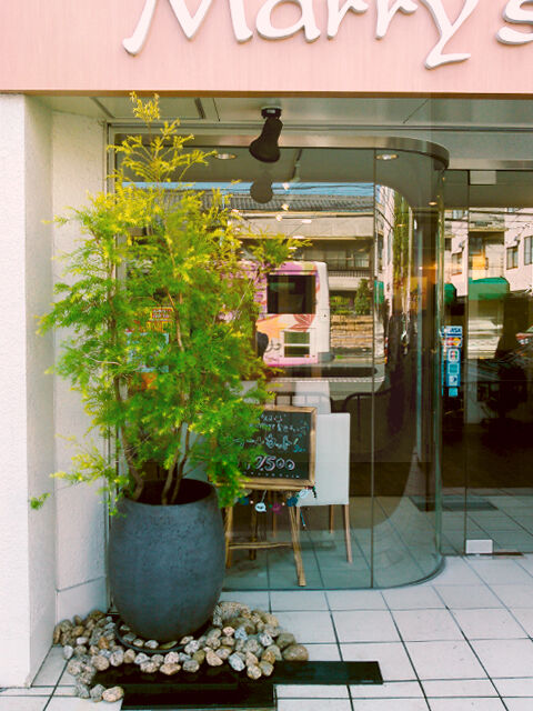 店舗ディスプレイ
